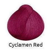 Crazy Color Health & Beauty cyclamen Crazy Color By Renbow Semi-Permanente Couleur de cheveux 100 ml