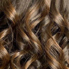 Dream Hair French Bulk Human Hair  