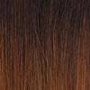 Dream Hair Braids Exception 40"/101cm 165g Synthetic Hair