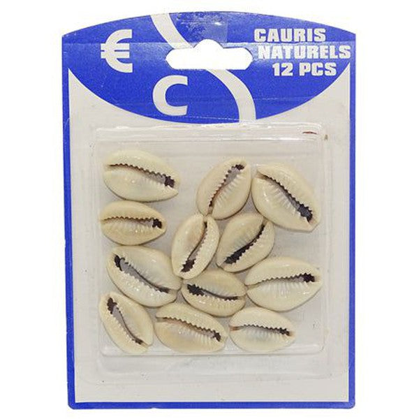 Brittny Hair Shell (12) :Cauris