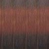 Clair International Health & Beauty Dunkelbraun-Mahagony Mix Ombré #T2/33 Clair International - Tresses Donna Clara 100% Kanekalon