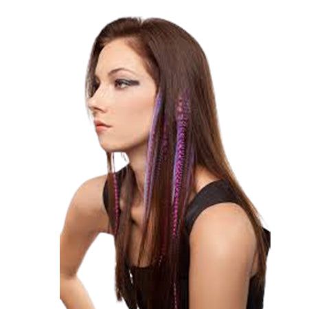 Dream Hair 2 Clip-In Feather Extensions 16"/40Cm Synthetic Hair, Feder Haarteil | gtworld.be 