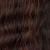 Dream Hair Dream Hair ponytail EL 2005  12"/30cm Human Hair