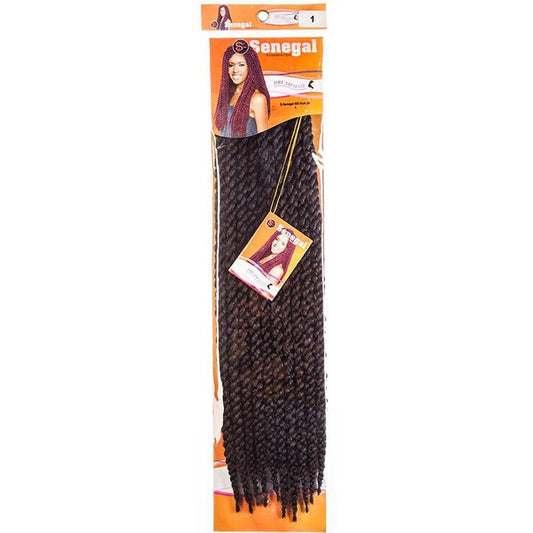 Dream Hair S-Senegal 400 Bulk 20"/50cm Synthetic Hair | gtworld.be 