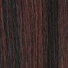 Dream Hair Health & Beauty 20" = 50 cm / Schwarz-Mahagony Mix #F1B/33 Dream Hair Euro Straight Real hair