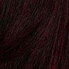 Dream Hair Health & Beauty Schwarz-Rot #P1B/99J Dream Hair ponytail EL 170 16"/40cm Synthetic Hair