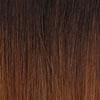 Dream Hair Schwarz-Braun Mix Ombré #T1B/30 Dream Hair S-Ghanaian Bulk Synthetic Hair