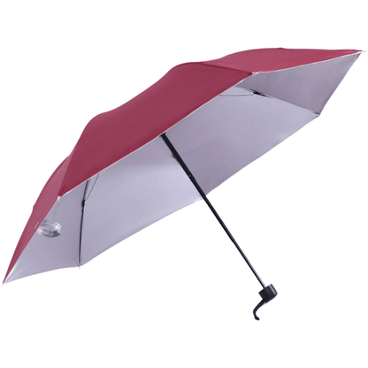 Dreamfix Health & Beauty Dreamfix Silver inner umbrella (Assorted)