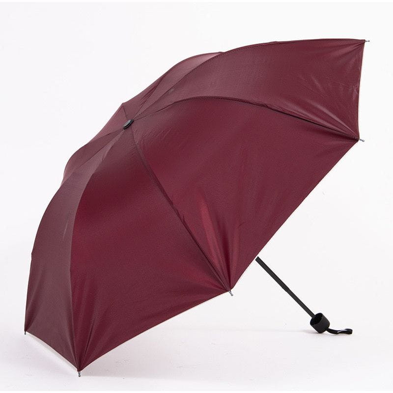 Dreamfix Health & Beauty Dreamfix Silver inner umbrella (Assorted)