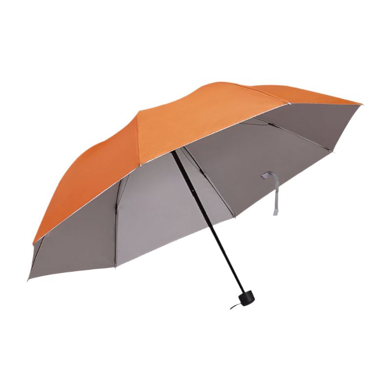 Dreamfix Health & Beauty Dreamfix Silver inner umbrella (Assorted)