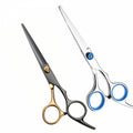 Dreamfix silver/blue Dreamfix Professional Hairdresser Scissors