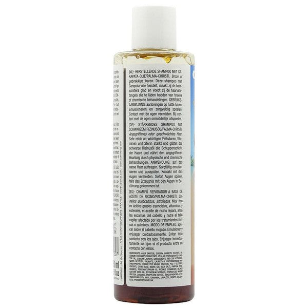 Miss Antilles Repairing Shampoo Palma Christi 250ml | gtworld.be 